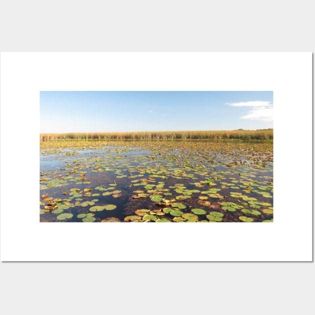 Wondrous Wetland Marsh - Point Pelee No.3 Wall Art by MaryLinH